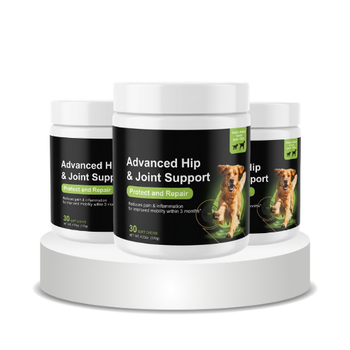 Advanced Hip & Joint Support™