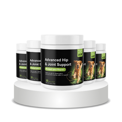 Advanced Hip & Joint Support™